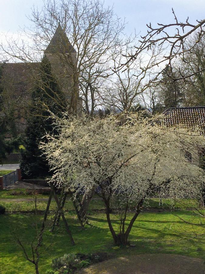 Ferienwohnung Kastanienblick oder Parkblick Ziethen  Exterior foto