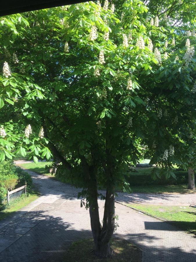 Ferienwohnung Kastanienblick oder Parkblick Ziethen  Exterior foto