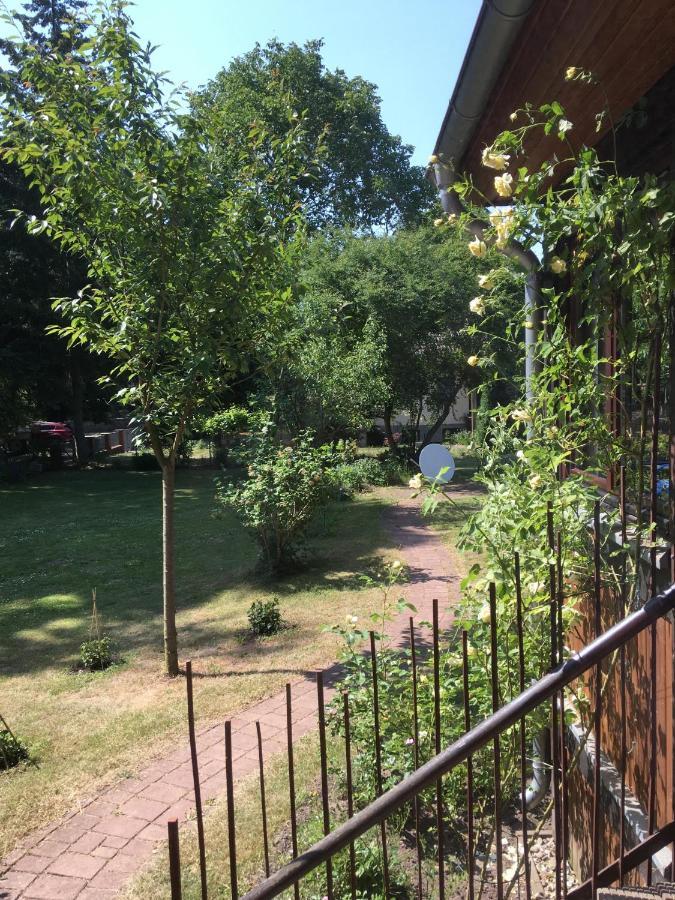 Ferienwohnung Kastanienblick oder Parkblick Ziethen  Exterior foto